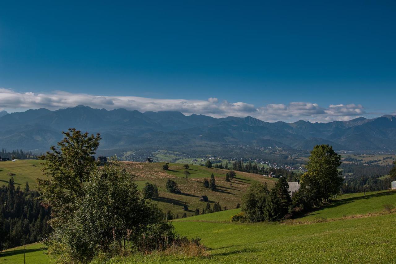 Domki U Skowyrow Gliczarów Exteriör bild